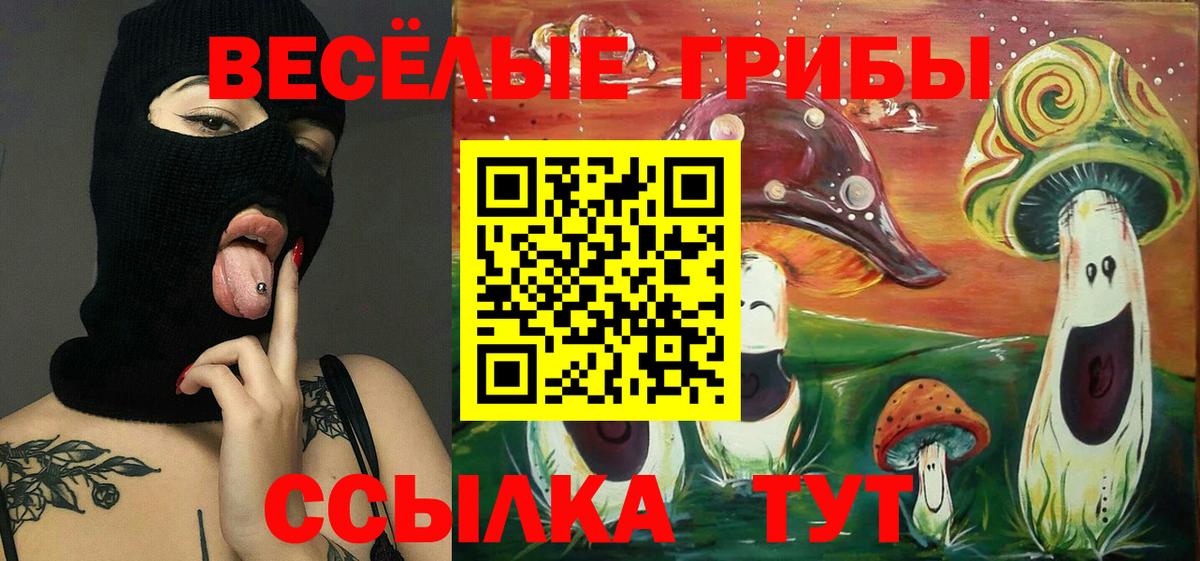 Галлюциногенные грибы Cubensis  цена   Ливны  Псилоцибиновые грибы мицелий  Вход с VPN 
