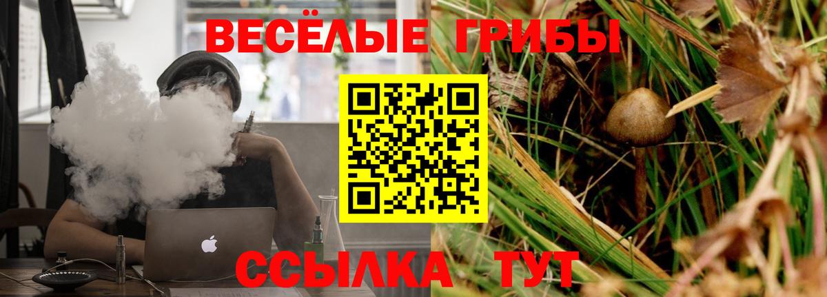 Псилоцибиновые грибы ЛСД Ливны